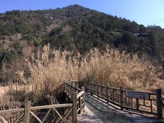 -东海大峡谷