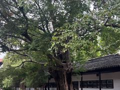 -苏州文庙(姑苏区)