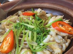 -美极鲜食坊(宝安南路店)