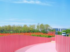 -春花秋色城市公园