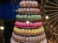 -雍容荟帝王蟹活龙虾展台自助(IFS黑金店)