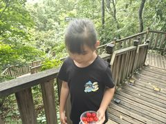 -帽儿山国家森林公园