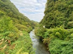 -阿哈湖国家湿地公园
