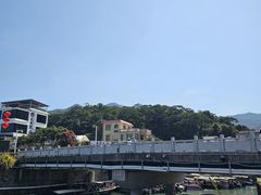 -杨梅坑