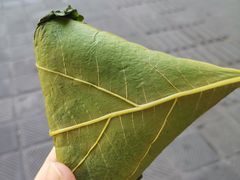 -叶婆婆豆浆馍馍