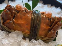 -清水日本料理铁板烧(学府路店)