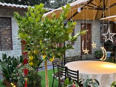 -高坎一品甲鱼庄(两河店)