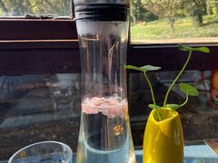 -野蔓果·山野菜(西湖景区·龙井茶田店)