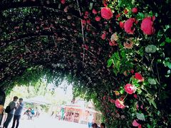 -芜湖方特东方神画