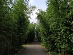 -武汉紫薇都市田园