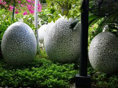 -100蛋泥浆浴