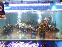 -南海渔家•海鲜•正宗海南菜(海棠湾店)