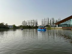 -上海长兴岛郊野公园