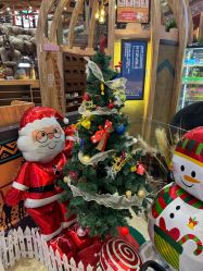 -卡通尼·Safari非洲探索乐园·生日会(金桥国际商业广场店)