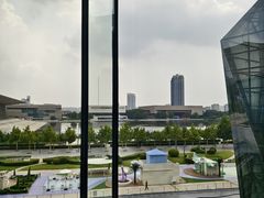 -羲和雅苑•北京烤鸭(乐园道万象城店)