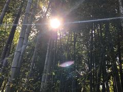 -径山寺