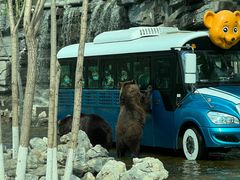 -北京野生动物园