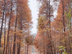-广州市白云山风景名胜区