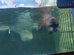 -左海海底世界
