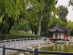 -莲湖公园