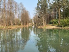 -西溪国家湿地公园