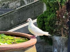 -博鳌禅寺