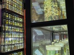 -广东中医药博物馆