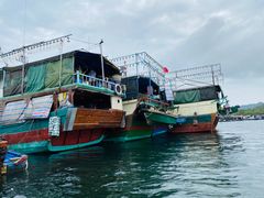 -蓝湾碧波·老字号·疍家非遗海上餐厅