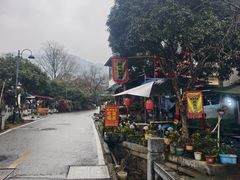 -龙井村
