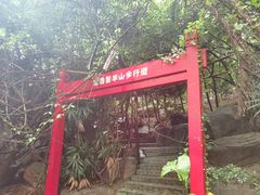 -大屏嶂森林公园