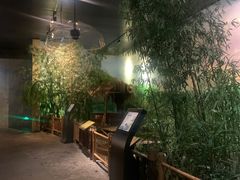 -中国湿地博物馆