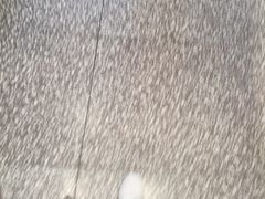 -南大门韩糕(后埭溪路店)