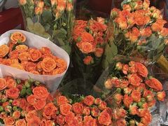 -循礼门鲜花花市(武汉循礼门店)