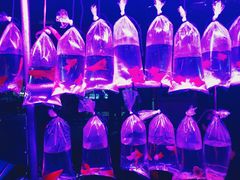 -中环花鸟鱼虫市场