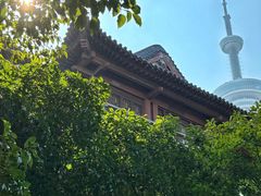-南京古林公园
