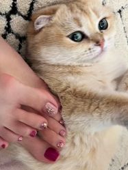 -四季·予你日式美甲美睫Nail
