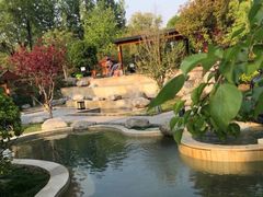 -思念果岭悦温泉