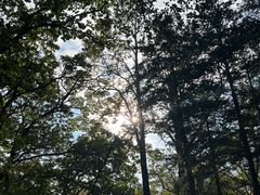 -青岛崂山太清宫