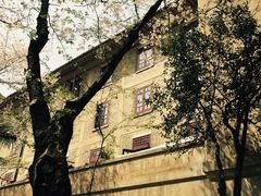 -武汉大学-樱园