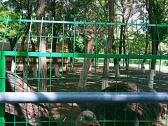 -长白岛森林公园