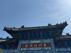 -曹州牡丹园