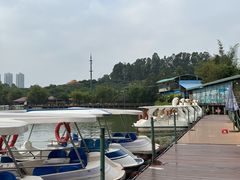 -观澜山水田园
