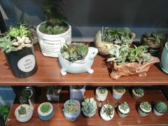 -何兮花店·气球派对鲜花店(马桥银春路万科城店)