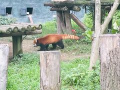 -宁波野生动物园