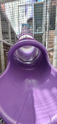 -卡通尼乐园(重庆南坪协信星光店)