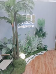 -八佰伴8008星级形象店