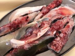 鱼头-源港渔村-中山脆肉鲩(博罗店)