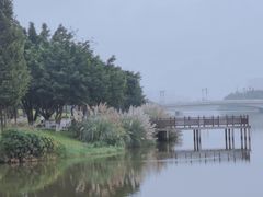 -眉山湿地公园(东坡区)