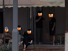 -椿树咖啡