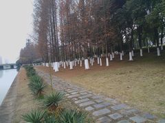 -白塘生态植物园